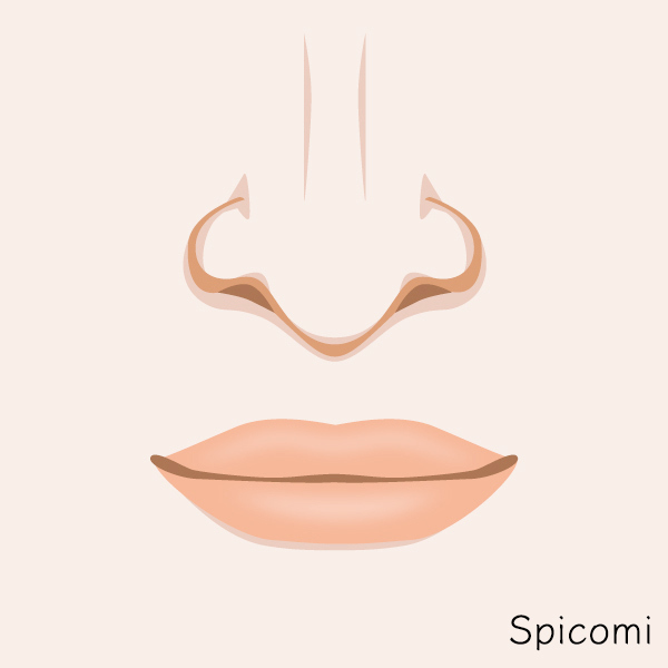 矢印鼻［鼻の形の種類診断］