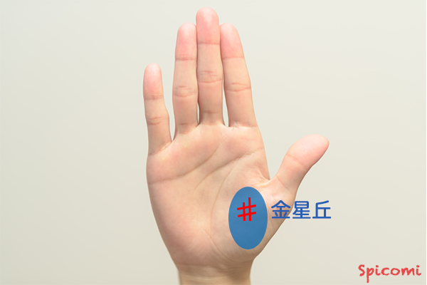 ［手相占い］金星丘に現れる四角紋