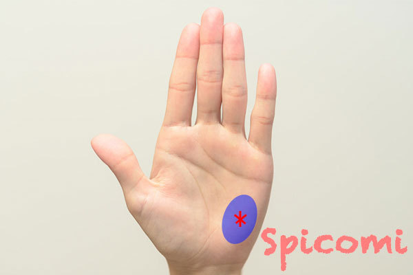 月丘に米印アスタリスクがある