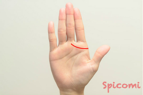 千金紋（成り上がり線）が右手にある場合