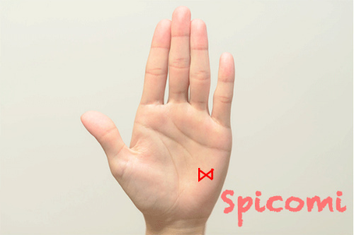 蝶々紋（リボンマーク）が月丘にある