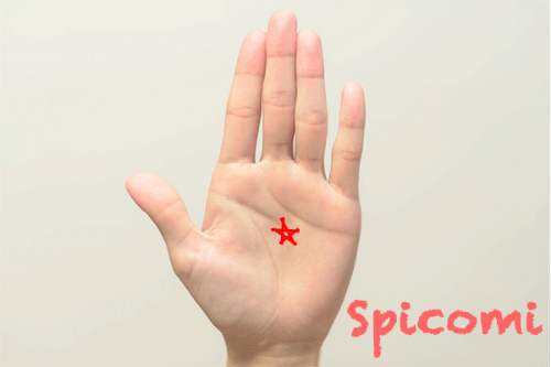 五芒星が頭脳線（知能線）上にある