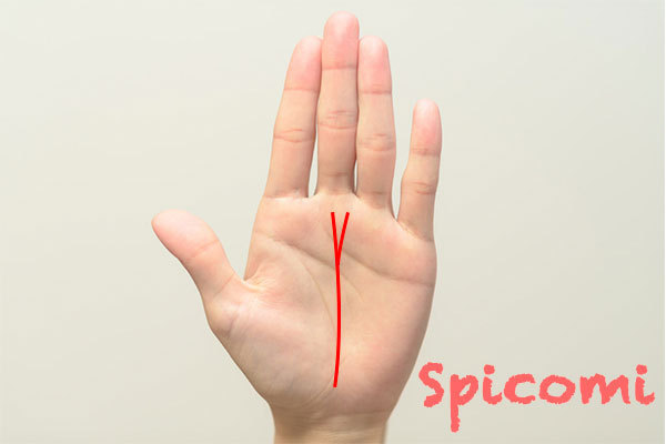 左手の運命線が二股に枝分かれしている