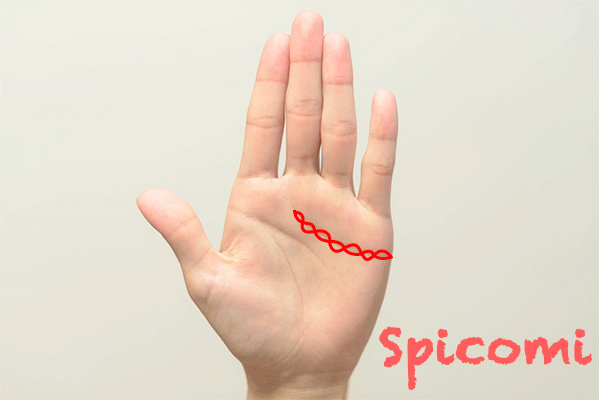 感情線が鎖状に連なっている