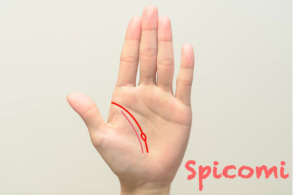 二重生命線に島が入っている