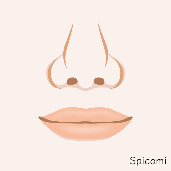 獅子鼻［鼻の形の種類］