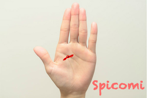 手相占いで恋愛線が鎖状