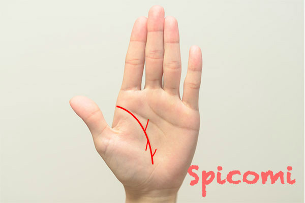 生命線から上向き下向きの枝線が入り乱れて伸びている