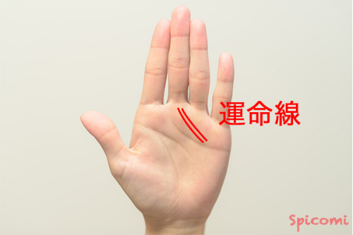 ［手相占い］２本の運命線が感情線から伸びている場合