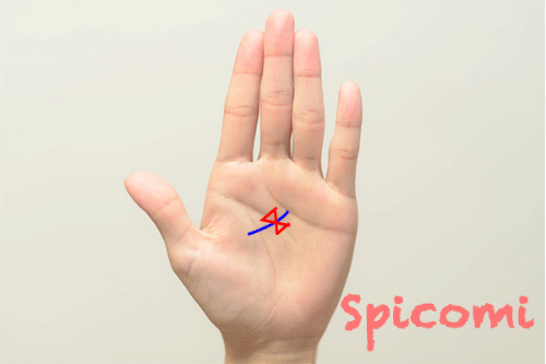 蝶々紋（リボンマーク）が恋愛線にある