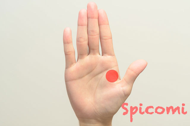 右手の第一火星丘の意味