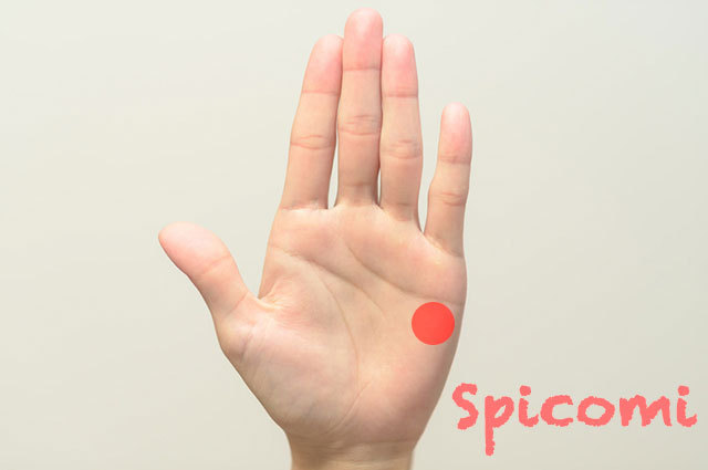 左手の第二火星丘の意味