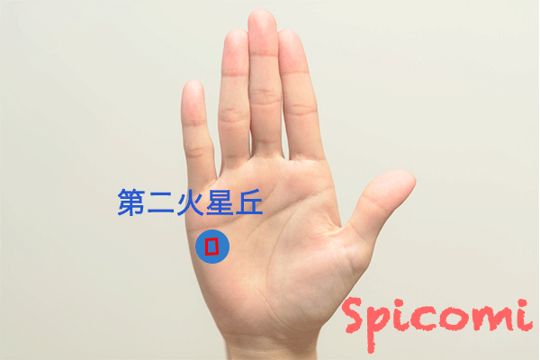 第二火星丘の四角紋・スクエア