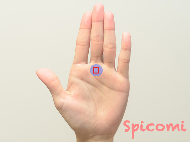 中指の下の四角紋・ひし形