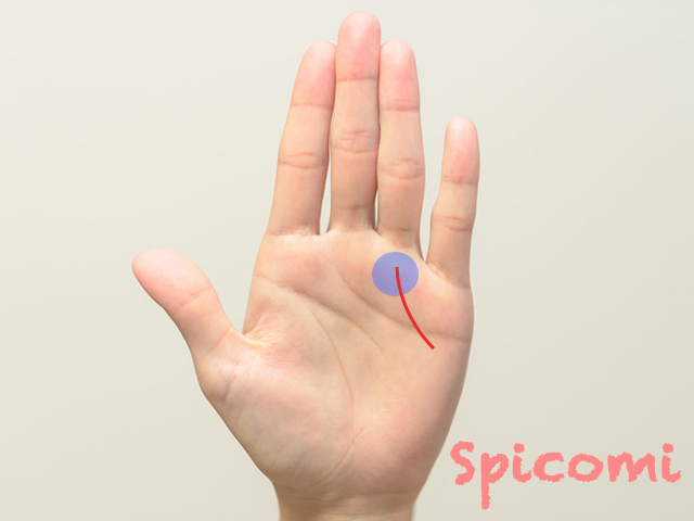 薬指の下の斜め線・カーブ