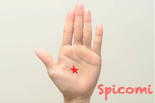 五芒星が生命線上にある