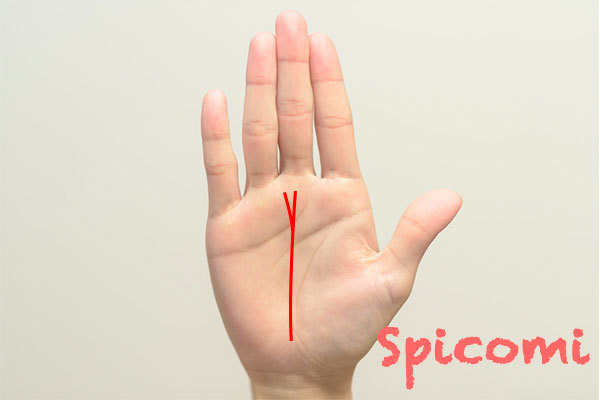 右手の運命線が二股に枝分かれしている