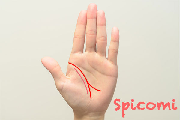 二重生命線の枝線が月丘に向かっている