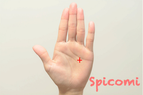 クロス（十字紋・バツ印）が感情線と頭脳線の間にある太陽十字線