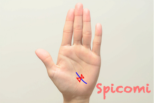 蝶々紋（リボンマーク）が旅行線にある