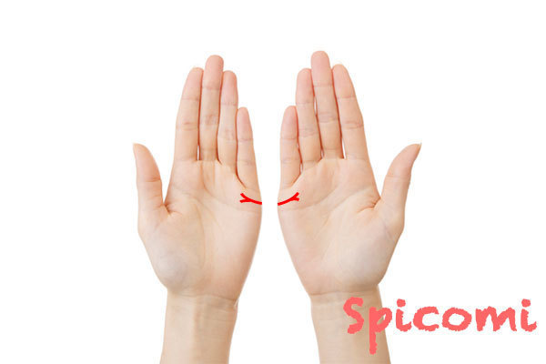 両手の結婚線が二股に枝分かれしている