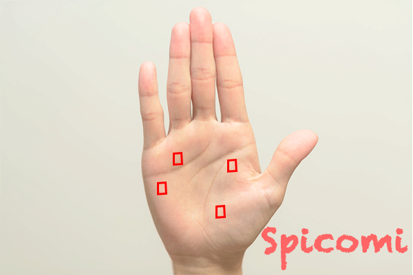 手のひらにたくさんの四角紋・スクエア