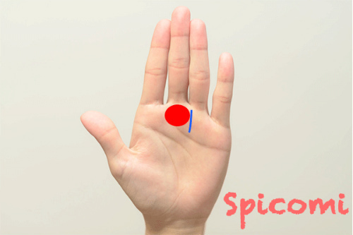 土星丘寄りに太陽線が伸びている