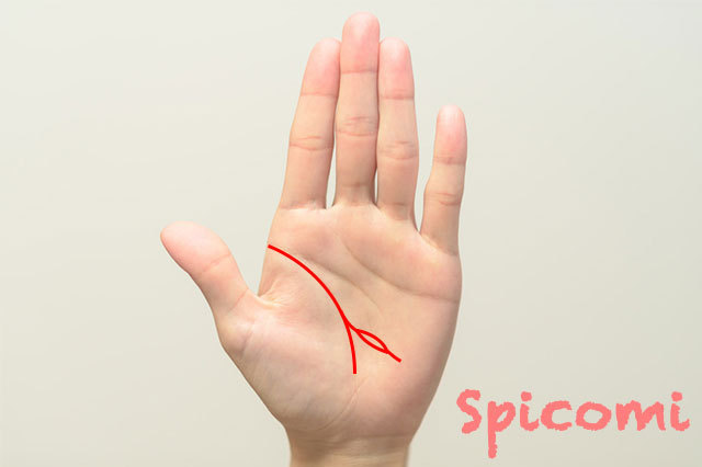 生命線の二股に分かれた線に大きな島がある