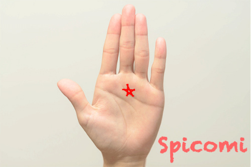 五芒星が感情線上にある