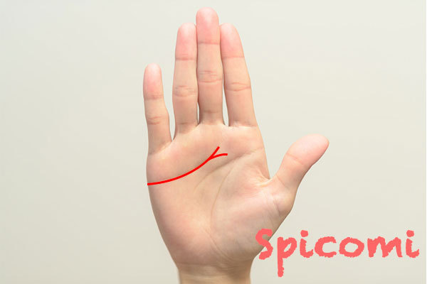 右手の感情線の先が二股に枝分かれしている