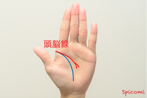 手相占い - 頭脳線(知能線)が下向きに弧を描いて枝分かれしている