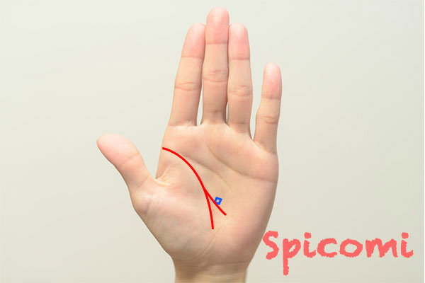 枝分かれしている生命線に四角紋（スクエア）がある