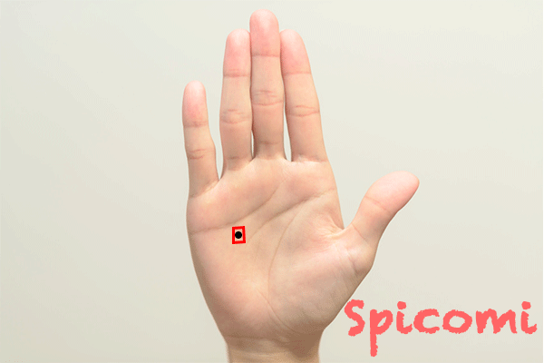 四角紋（スクエア）の中にほくろがある