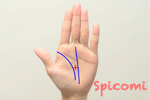 クロス（十字紋・バツ印）が生命線と運命線の間にある奉仕十字線