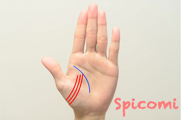 陰徳線と二重生命線がつながる