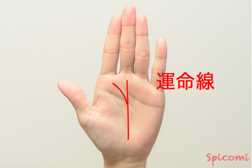 ［手相占い］運命線が大きく枝分かれし、木星丘に伸びる場合
