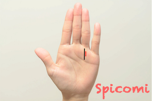 パートナー線（印象線）が太陽線の横にある