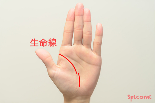 ［手相占い］生命線が途中で外側に切り替わっている