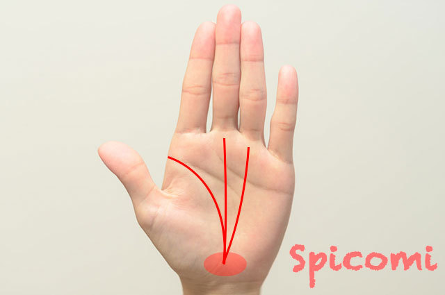 地丘で運命線と太陽線と生命線が交わる