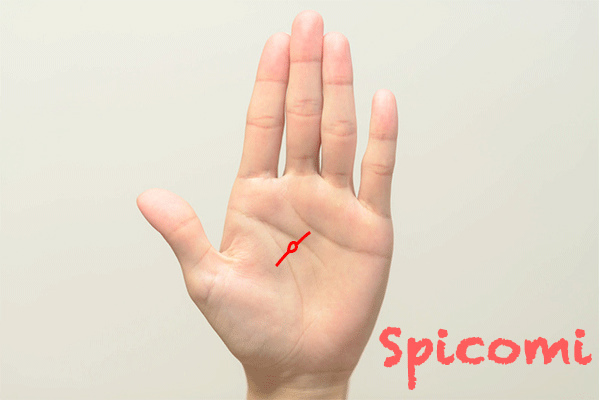 恋愛線に島がある