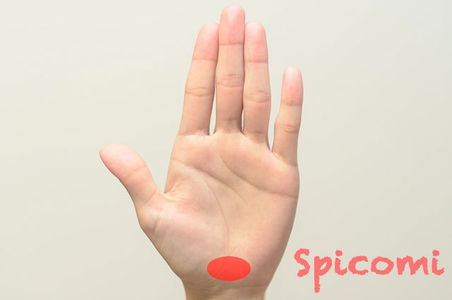 左手の地丘の意味