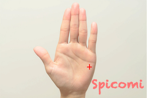 クロス（十字紋・バツ印）が第二火星丘にある