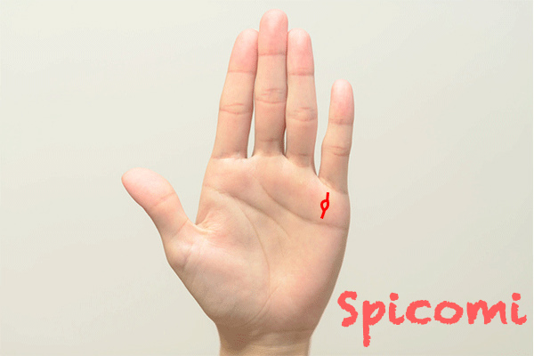 財運線に島がある