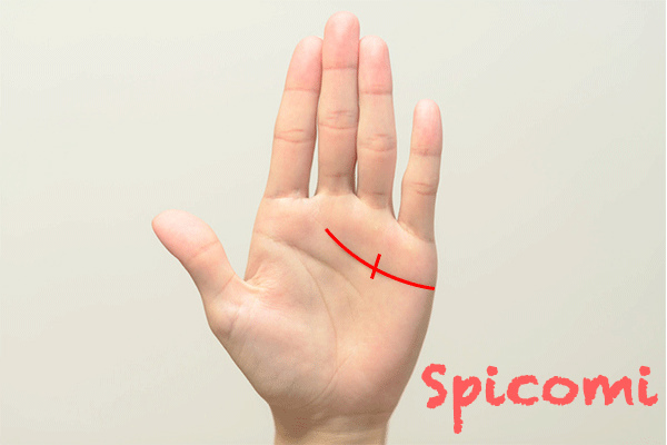 感情線に障害線がある