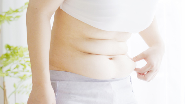 脂肪の塊の画像［ダイエット］