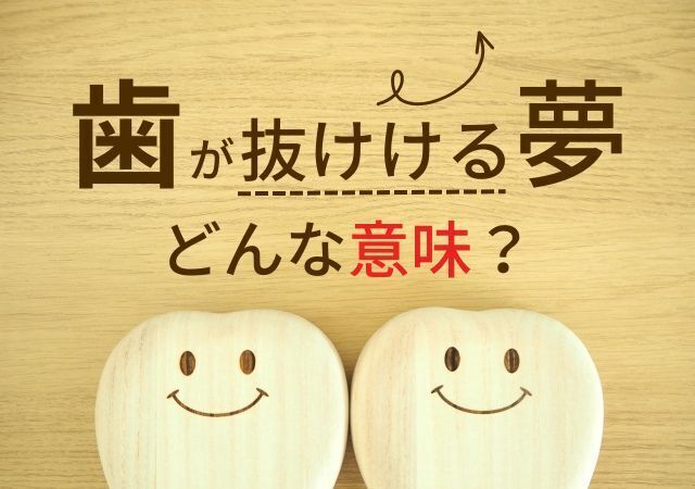 歯のかわいい模型