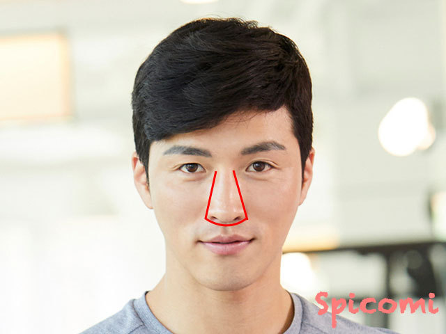 鼻の肉付きが良く大きい［浮気男の顔］