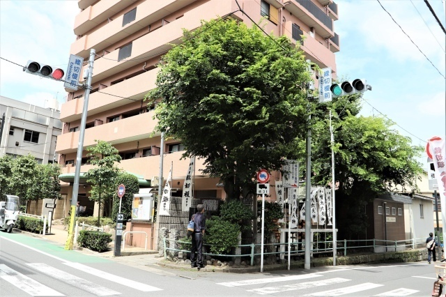 縁切榎【東京都内の最強縁切り神社】