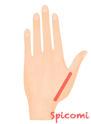 ［ほくろ占い］手の甲で左手親指の延長線上にあるほくろ