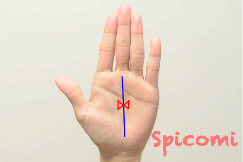 蝶々紋（リボンマーク）が運命線上にある